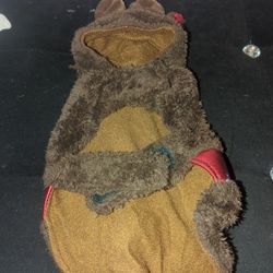 Dog Costumes   /  $4 each