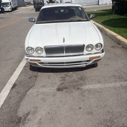 Jaguar Banded Plas 6 Cil