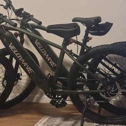 500W Electric Mtn Bikes