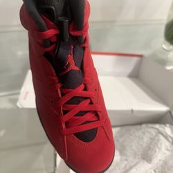 Jordan 6 Toro