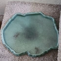 Reptile Dish 
