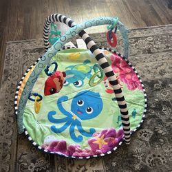 Baby Play Gym