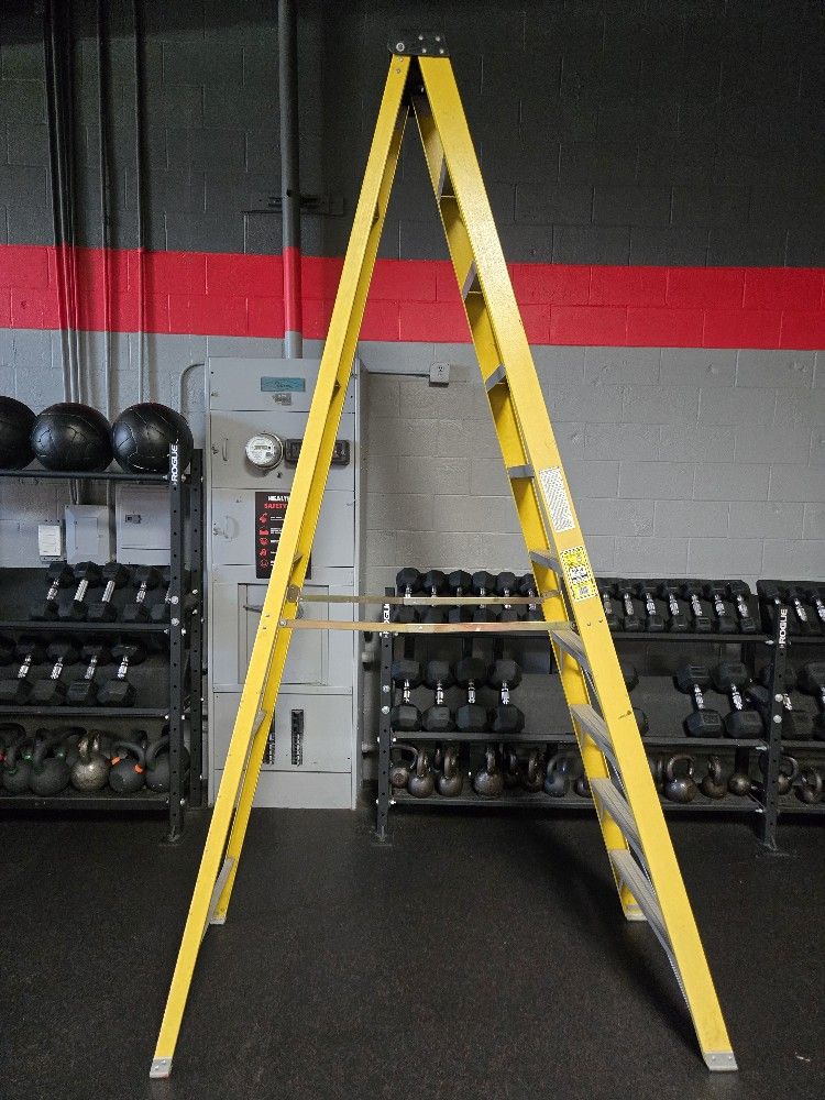 Werner 10FT Ladder
