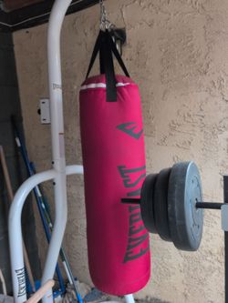 Everlast punching bag