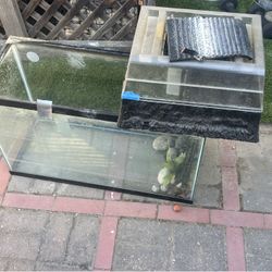 29 Gallon Aquarium 