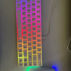 Keyboard & Mouse 