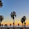 California Dreaming 
