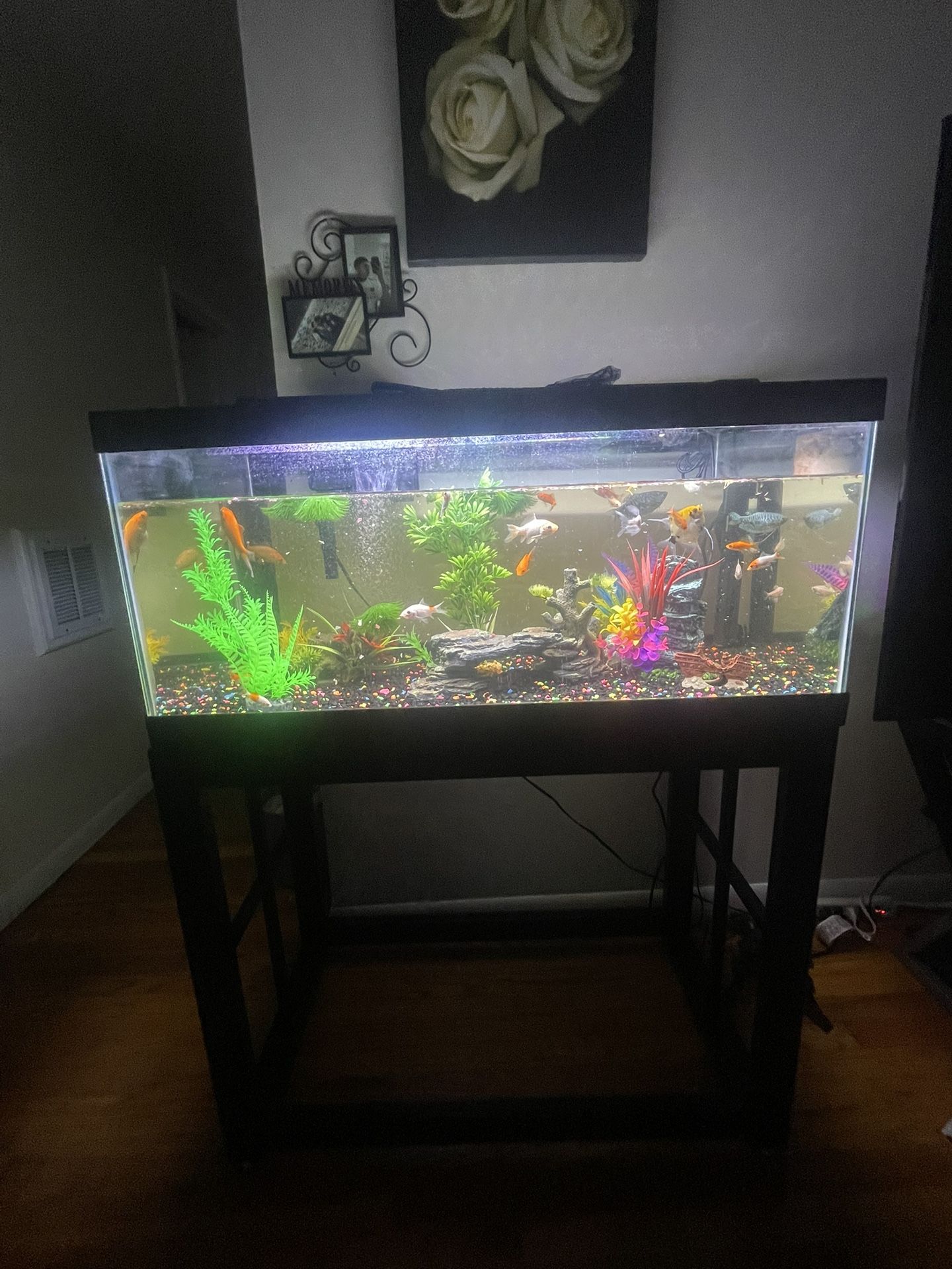 75 Gallon Fish Tank For Sale