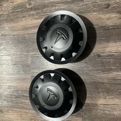 Tesla Performance Wheel Center Caps