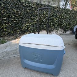 Igloo cooler
