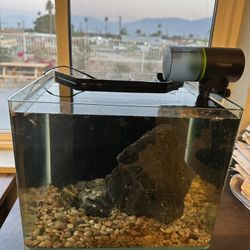Fish Tank 