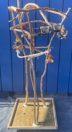 Artsy N Rustic Parrot Perch Tree … A Must Have For That Talking Grey Or Sassy Amazon ! ❤️ Yes We Deliver …👍🏼💯