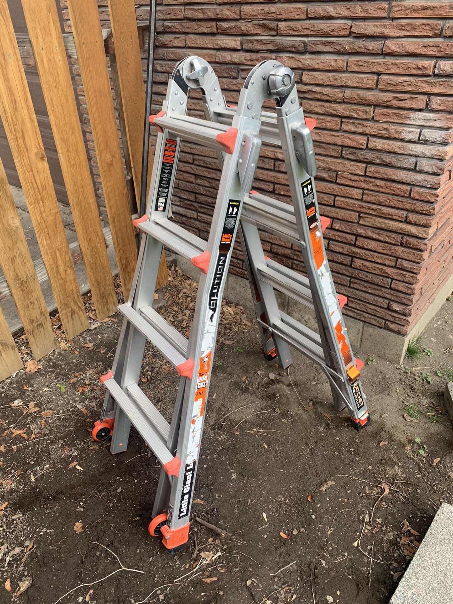 Little Giant Ladder