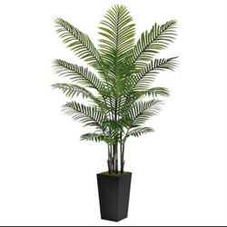 Artificial Palm Tree 6FT - Fake Tree with Black Tall Planter