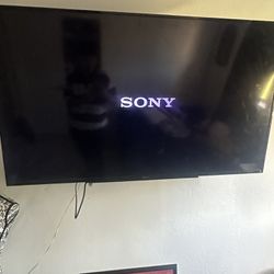 Sony TV And Mount 