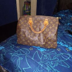 Louis Vuitton Speedy Bag 