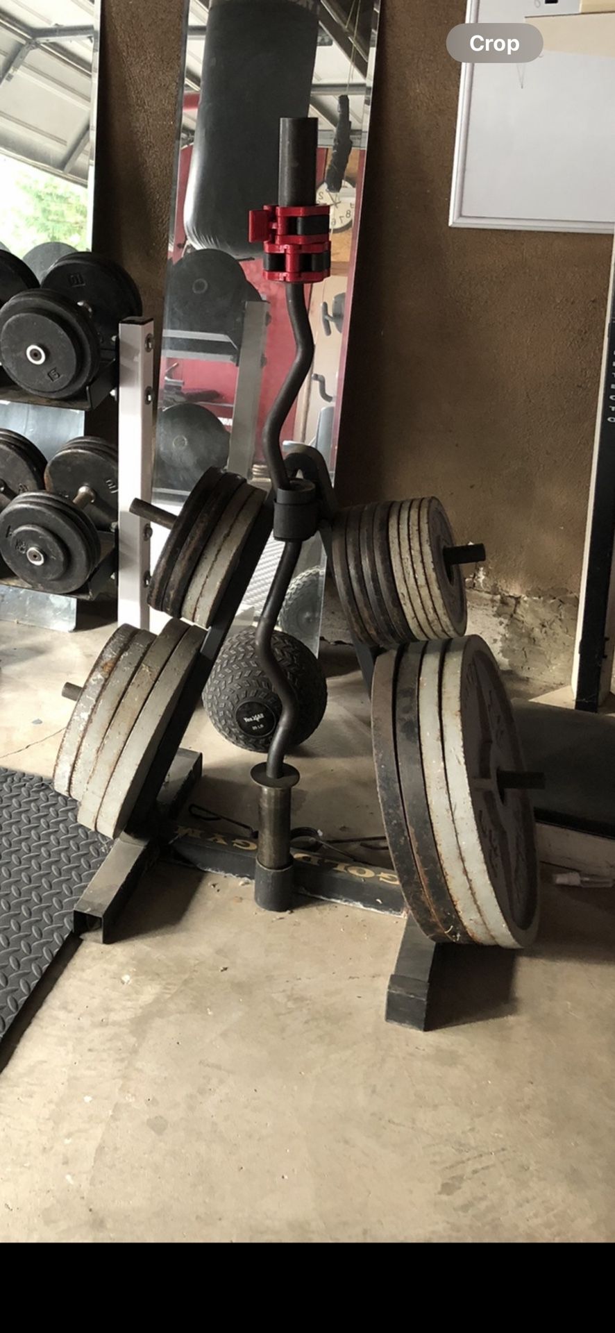 Weight Set- Olympic Plates w/ Stand & Curl Bar