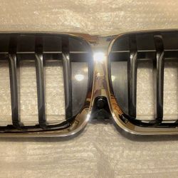  BMW Kidney Grille 