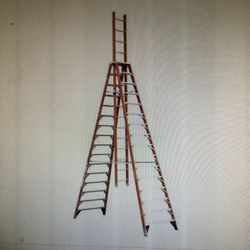 16’ Werner Ladder