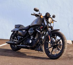 2021 Harley-Davidson Xl883n Sportster Iron 883