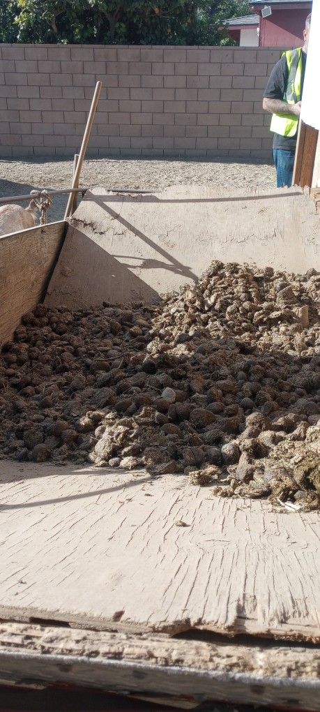 Free Horse Manure