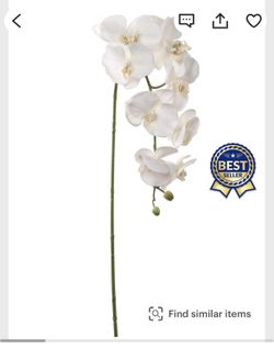 Orchids Silk Artificial Branches