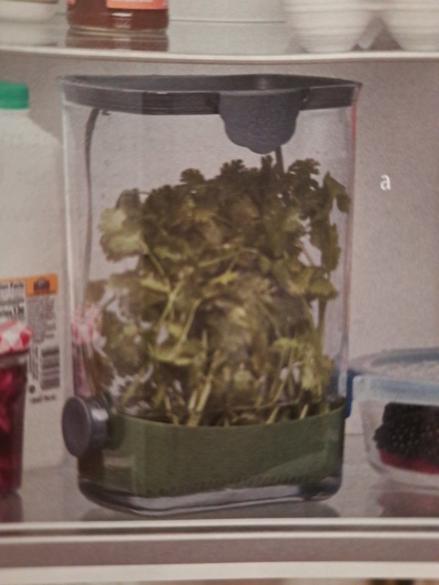 need or Para Cilantro