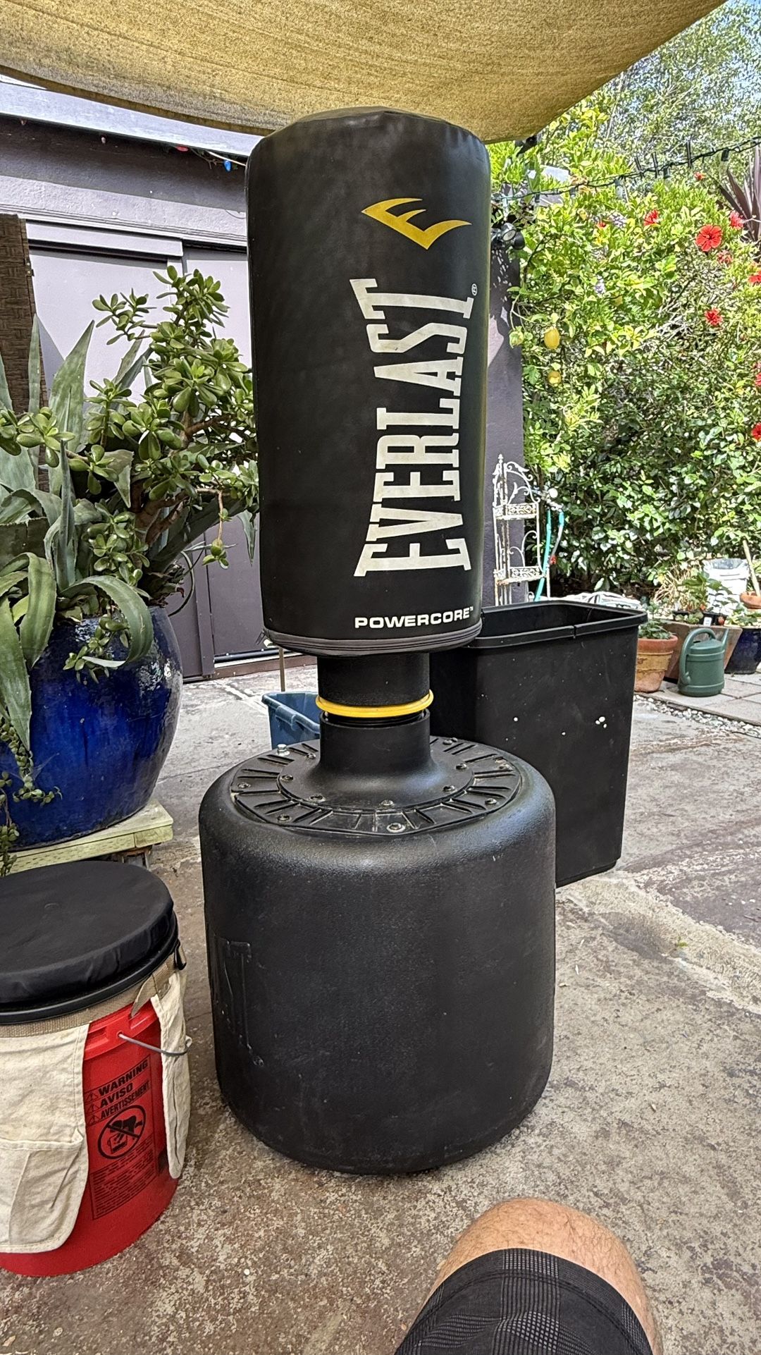 Everlast Punching Bag