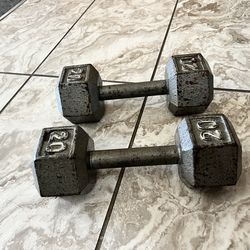 20 lb Dumbbells Pair Cast Iron – Home Gym | Used