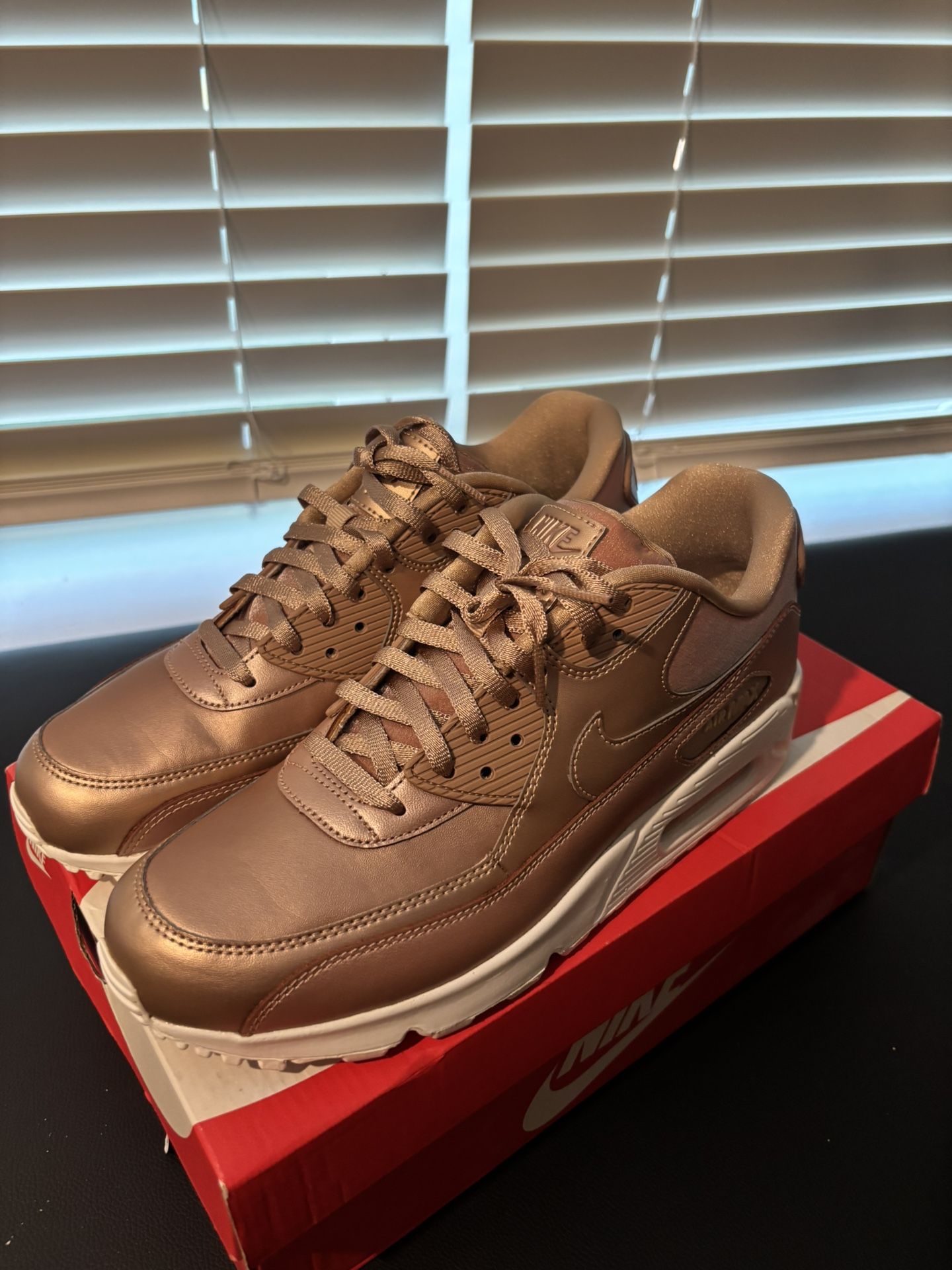 Nike Air Max