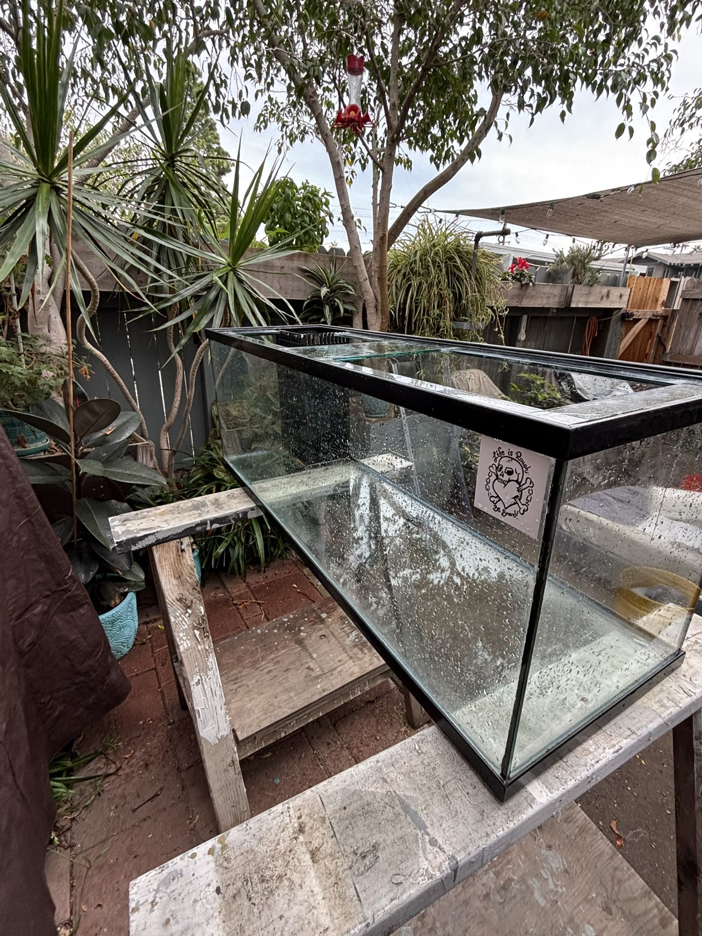 50-65 Gallon Fish Aquarium With Sump And Pluming