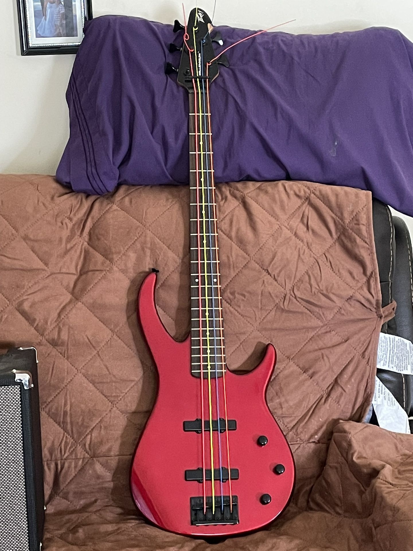 Peavey 5 String Bass with Donner Amp