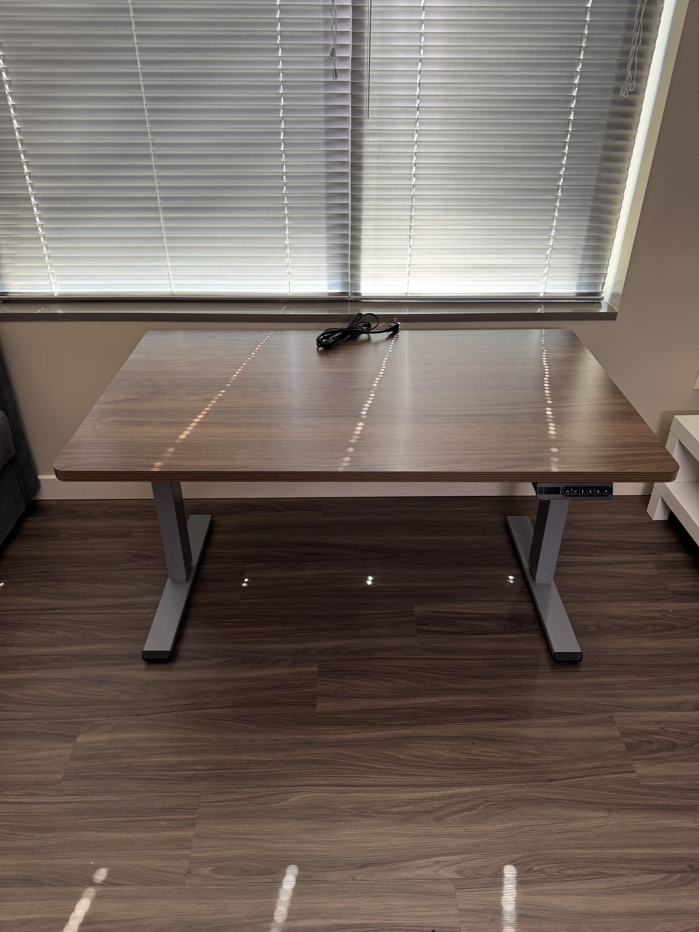 Flexispot Pro Standing Desk (E5)