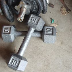 Dumbbell Weights