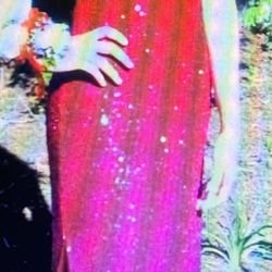 Christmas Dress Embellished Sequins Med