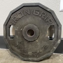 1- 45 Lbs Iron grip Weight 