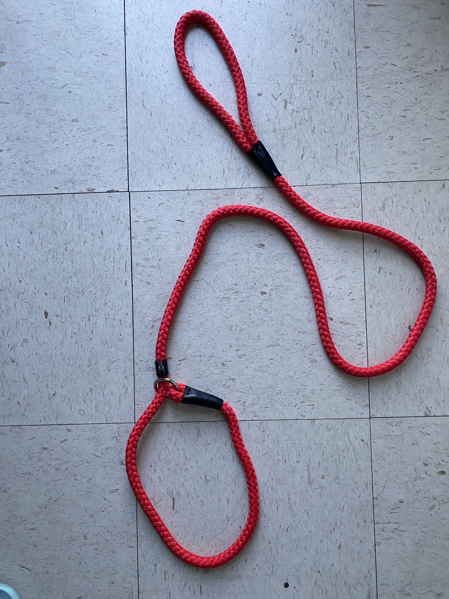 Slip Lead Dog Leash 