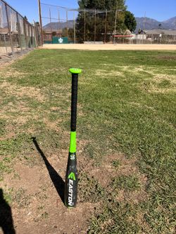 Easton Bat