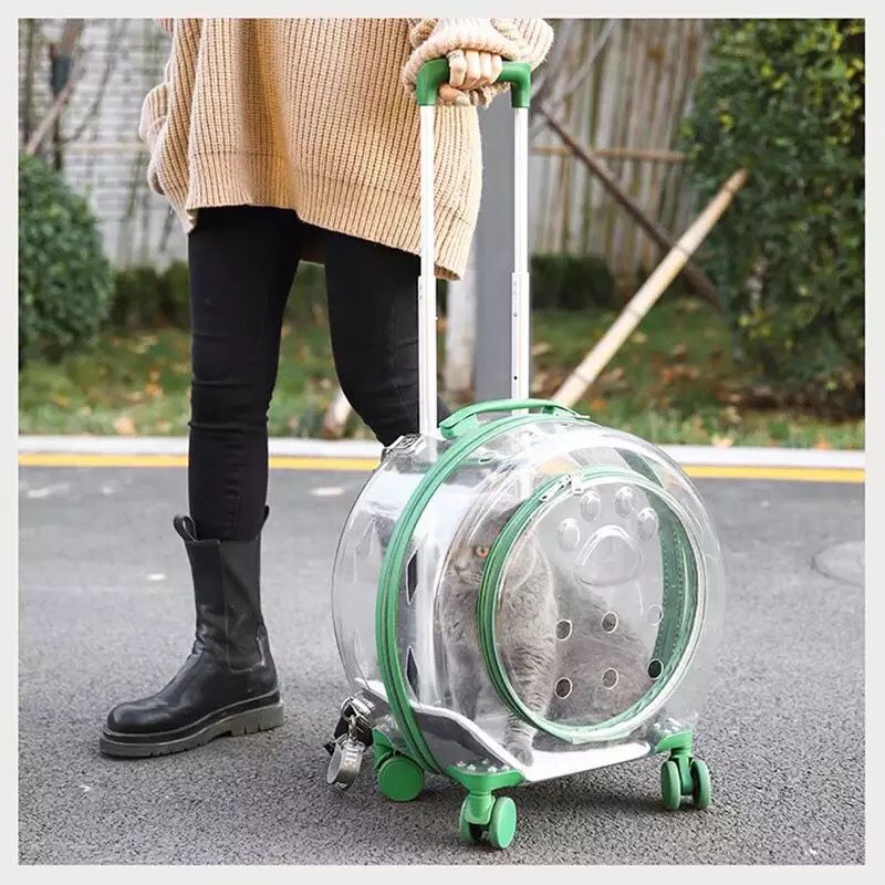 Dog cat luggage stroller transporter trolley portable green pet paw transparent