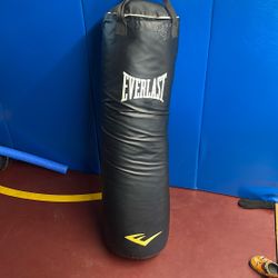 100 Pounds Punching  Bag