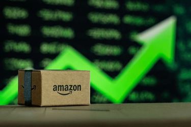 Own an Automated Amazon Business Today