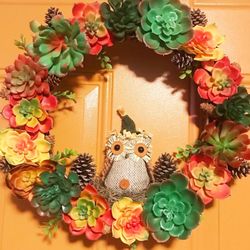 Handmade Succulent Owl wreath
