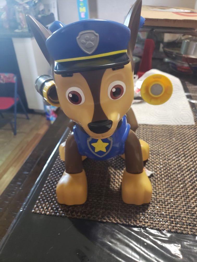 Paw patrol chase