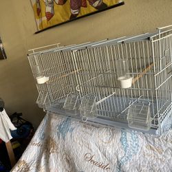 Cage 