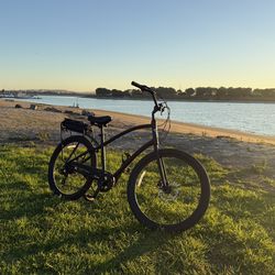 Electra Beach Cruiser Electric Bike Ebike