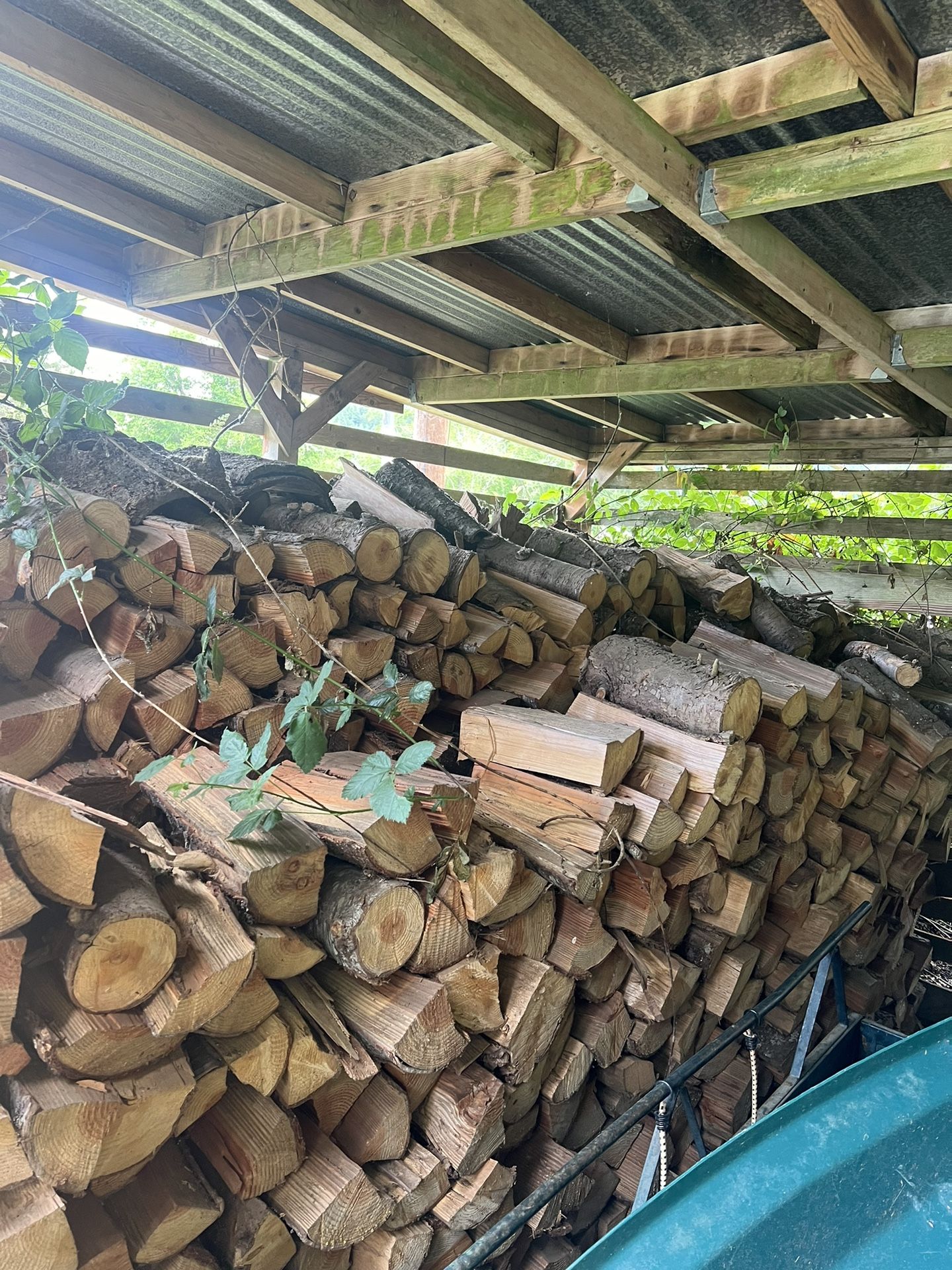 Firewood