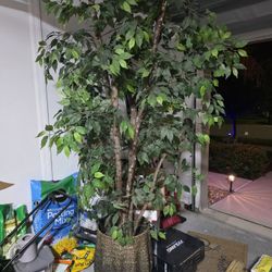 7.5 Artificial plant 