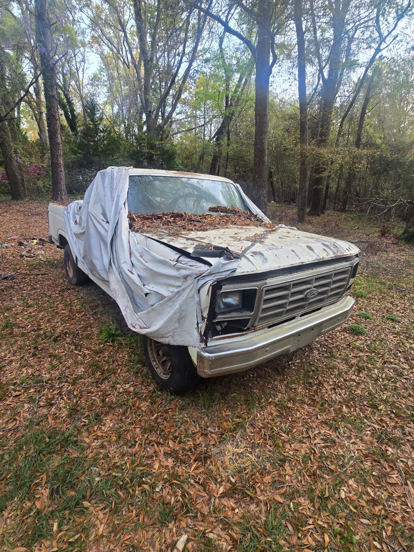 1986 Ford F-150