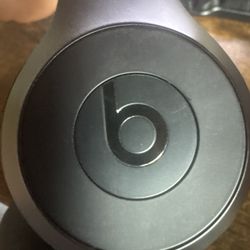 Bears Headphones 