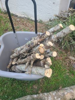 Firewood tree cuts
